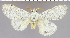  ( - red-6)  @13 [ ] Unspecified (default): All Rights Reserved  Unspecified Unspecified