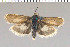  ( - yellow-6)  @11 [ ] Unspecified (default): All Rights Reserved  Unspecified Unspecified