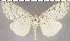  ( - red-68)  @14 [ ] Unspecified (default): All Rights Reserved  Unspecified Unspecified