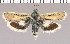  ( - yellow-69)  @11 [ ] Unspecified (default): All Rights Reserved  Unspecified Unspecified