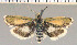  ( - yellow-7)  @11 [ ] Unspecified (default): All Rights Reserved  Unspecified Unspecified