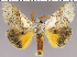  ( - red-72)  @14 [ ] Unspecified (default): All Rights Reserved  Unspecified Unspecified