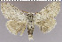  ( - red-8)  @13 [ ] Unspecified (default): All Rights Reserved  Unspecified Unspecified