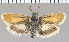  ( - yellow-8)  @11 [ ] Unspecified (default): All Rights Reserved  Unspecified Unspecified