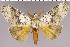  ( - red-85)  @14 [ ] Unspecified (default): All Rights Reserved  Unspecified Unspecified