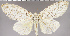  ( - red-87)  @14 [ ] Unspecified (default): All Rights Reserved  Unspecified Unspecified