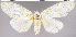  ( - red-88)  @14 [ ] Unspecified (default): All Rights Reserved  Unspecified Unspecified