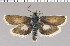  ( - yellow-9)  @11 [ ] Unspecified (default): All Rights Reserved  Unspecified Unspecified