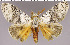  ( - red-92)  @14 [ ] Unspecified (default): All Rights Reserved  Unspecified Unspecified