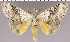  ( - red-93)  @14 [ ] Unspecified (default): All Rights Reserved  Unspecified Unspecified