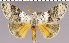  ( - red-94)  @14 [ ] Unspecified (default): All Rights Reserved  Unspecified Unspecified