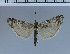  ( - C14-2011)  @12 [ ] Unspecified (default): All Rights Reserved  Unspecified Unspecified