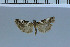  ( - D14-2011)  @12 [ ] Unspecified (default): All Rights Reserved  Unspecified Unspecified