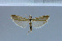  ( - D21-2011)  @11 [ ] Unspecified (default): All Rights Reserved  Unspecified Unspecified