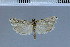  (Centrometopia - E13-2011)  @12 [ ] Unspecified (default): All Rights Reserved  Unspecified Unspecified
