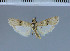  ( - E21-2011)  @12 [ ] Unspecified (default): All Rights Reserved  Unspecified Unspecified