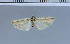  ( - F16-2011)  @11 [ ] Unspecified (default): All Rights Reserved  Unspecified Unspecified