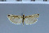  (Ancylosis euclastella - F17-2011)  @12 [ ] Unspecified (default): All Rights Reserved  Unspecified Unspecified