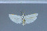  ( - F19-2011)  @12 [ ] Unspecified (default): All Rights Reserved  Unspecified Unspecified