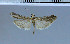  ( - G111-2011)  @12 [ ] Unspecified (default): All Rights Reserved  Unspecified Unspecified