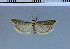  ( - G112-2011)  @12 [ ] Unspecified (default): All Rights Reserved  Unspecified Unspecified