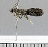  ( - A05-2011)  @12 [ ] Unspecified (default): All Rights Reserved  Unspecified Unspecified