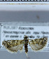  ( - A09-2010)  @12 [ ] Unspecified (default): All Rights Reserved  Unspecified Unspecified