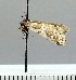  ( - A09-2011)  @12 [ ] Unspecified (default): All Rights Reserved  Unspecified Unspecified