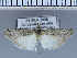  ( - B01-2010)  @12 [ ] Unspecified (default): All Rights Reserved  Unspecified Unspecified
