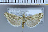  ( - B09-2010)  @13 [ ] Unspecified (default): All Rights Reserved  Unspecified Unspecified
