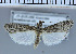  ( - B12-2010)  @13 [ ] Unspecified (default): All Rights Reserved  Unspecified Unspecified