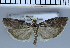  ( - C08-2010)  @13 [ ] Unspecified (default): All Rights Reserved  Unspecified Unspecified
