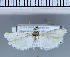  ( - C12-2010)  @13 [ ] Unspecified (default): All Rights Reserved  Unspecified Unspecified