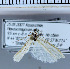  (Myelois sp. 1 - D01-2010)  @12 [ ] Unspecified (default): All Rights Reserved  Unspecified Unspecified