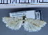  ( - D03-2010)  @12 [ ] Unspecified (default): All Rights Reserved  Unspecified Unspecified