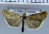  ( - D08-2010)  @13 [ ] Unspecified (default): All Rights Reserved  Unspecified Unspecified