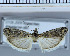  ( - G10-2010)  @13 [ ] Unspecified (default): All Rights Reserved  Unspecified Unspecified