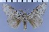  ( - red-247)  @12 [ ] Unspecified (default): All Rights Reserved  Unspecified Unspecified