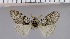  ( - red-254)  @12 [ ] Unspecified (default): All Rights Reserved  Unspecified Unspecified