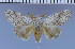  ( - red-318)  @11 [ ] Unspecified (default): All Rights Reserved  Unspecified Unspecified