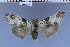  ( - red-351)  @12 [ ] Unspecified (default): All Rights Reserved  Unspecified Unspecified