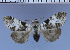  ( - red-352)  @13 [ ] Unspecified (default): All Rights Reserved  Unspecified Unspecified