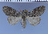  ( - red-361)  @12 [ ] Unspecified (default): All Rights Reserved  Unspecified Unspecified
