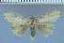  ( - red-379)  @12 [ ] Unspecified (default): All Rights Reserved  Unspecified Unspecified