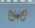  (Dasorgyia - red-384)  @12 [ ] Unspecified (default): All Rights Reserved  Unspecified Unspecified