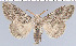  ( - yellow-192)  @13 [ ] Unspecified (default): All Rights Reserved  Unspecified Unspecified