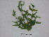 ( - MA-03)  @11 [ ] CreativeCommons  Attribution Non-Commercial Share-Alike (2017) Dr. Pramod Sairkar Madhya Pradesh Council of Science and Technology