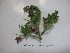  ( - PP1115)  @11 [ ] CreativeCommons  Attribution Non-Commercial Share-Alike (2017) Dr. Pramod Sairkar Madhya Pradesh Council of Science and Technology
