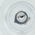  (Ectoedemia quinquella - PBRI_003_C1)  @11 [ ] by  Genome Research Ltd as Wellcome Sanger Institute Genome Research Limited operating as Wellcome Sanger Institute