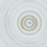  ( - PBRI_003_C8)  @11 [ ] by  Genome Research Ltd as Wellcome Sanger Institute Genome Research Limited operating as Wellcome Sanger Institute